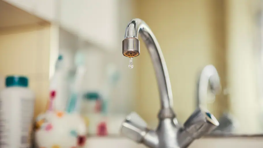Faucet and Valve repair or replacement services